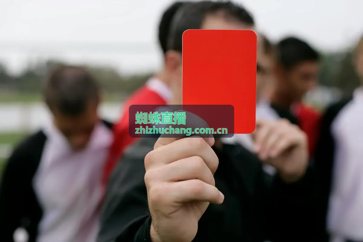 蜘蛛直播品牌营销直播方案