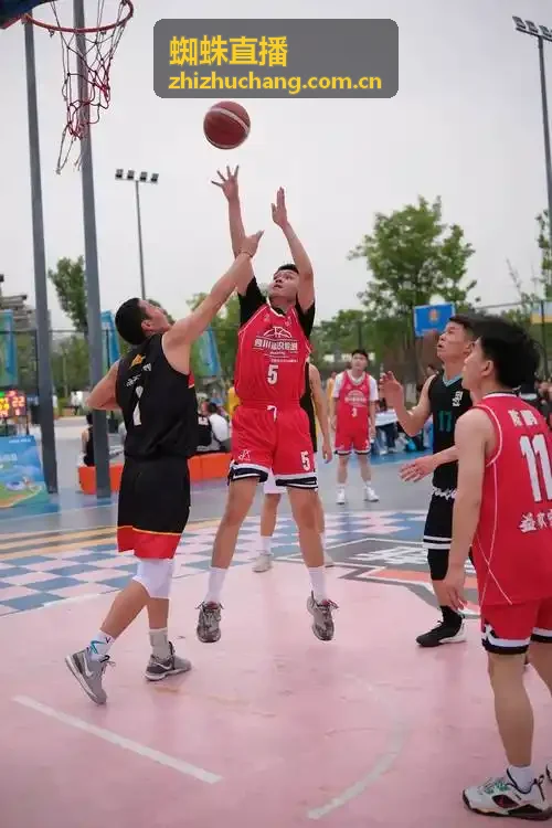 蜘蛛直播赛程信息面板